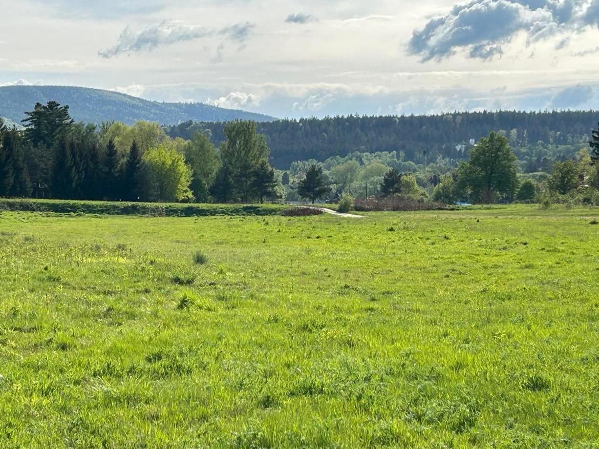 Lesny Park Polanica Appartement Szczytna Buitenkant foto