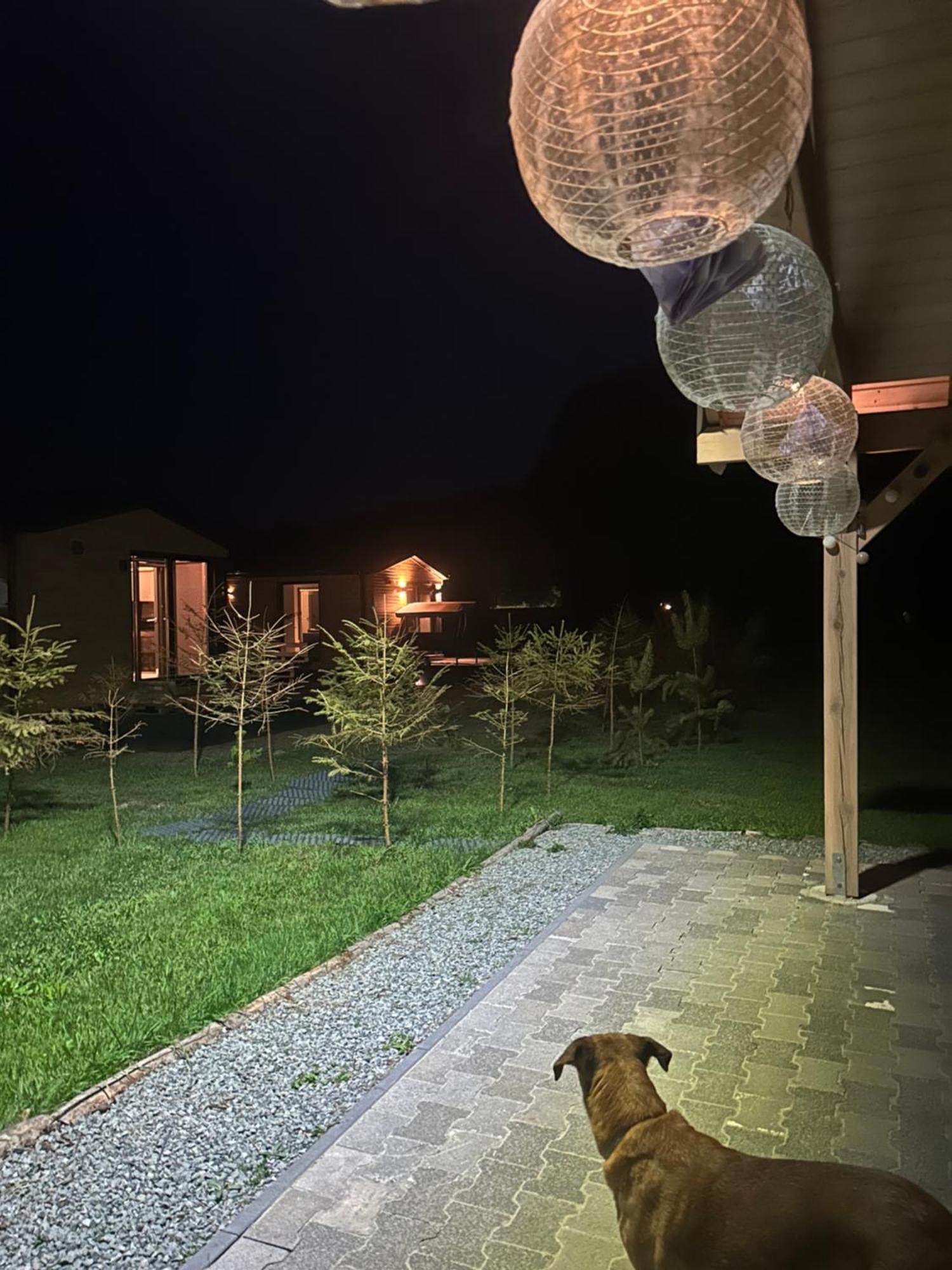 Lesny Park Polanica Appartement Szczytna Buitenkant foto