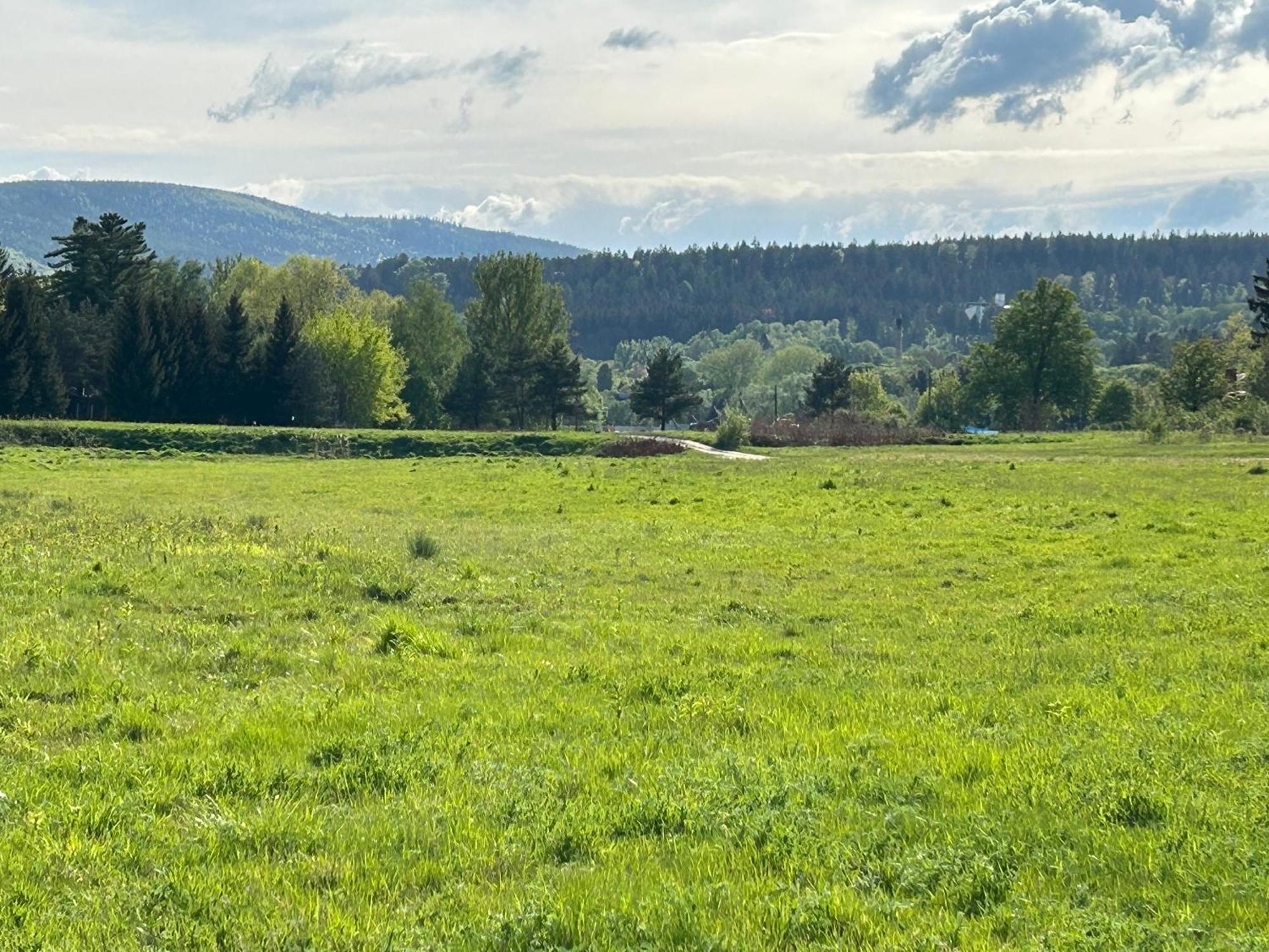 Lesny Park Polanica Appartement Szczytna Buitenkant foto