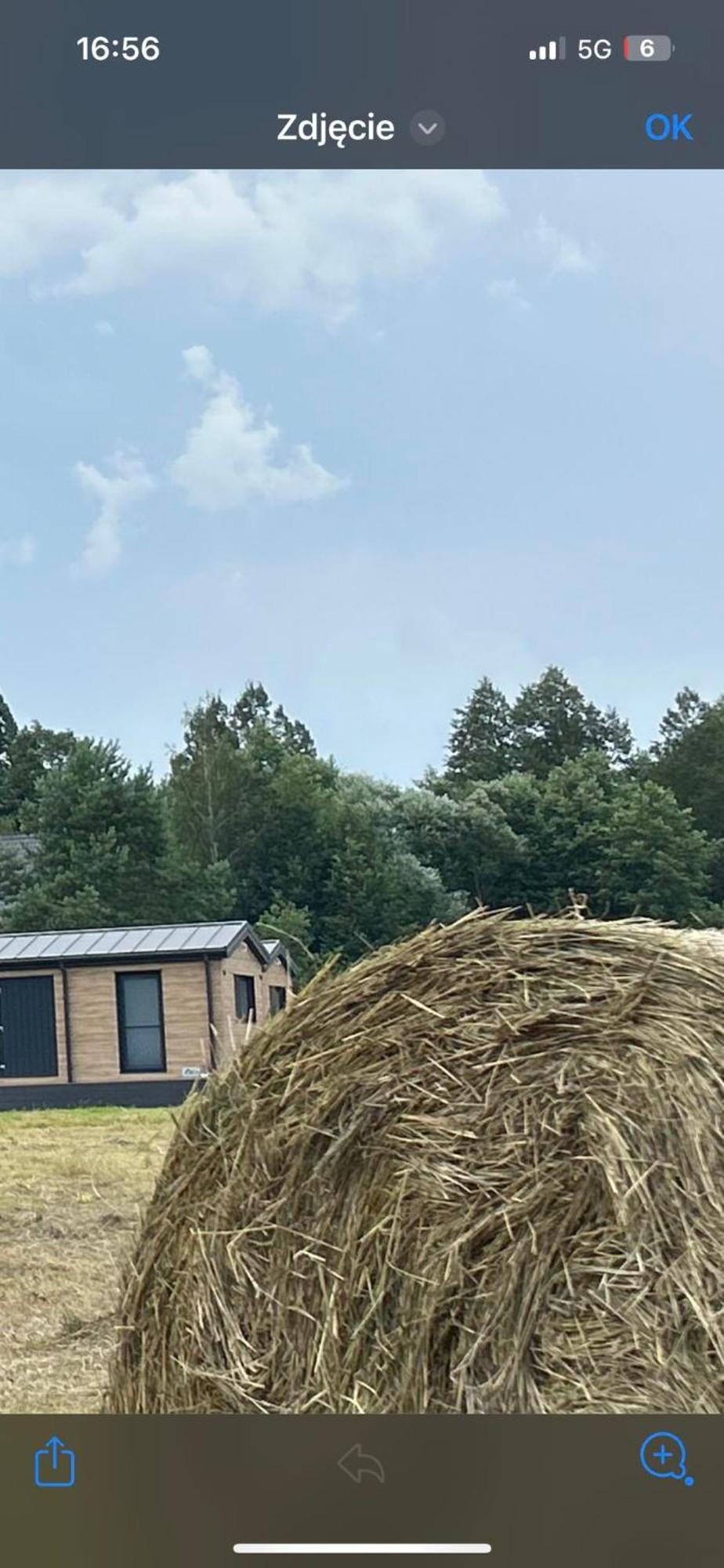 Lesny Park Polanica Appartement Szczytna Buitenkant foto